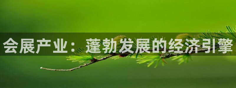 果博平台赖不赖：会展产业：蓬勃发展的经济引擎