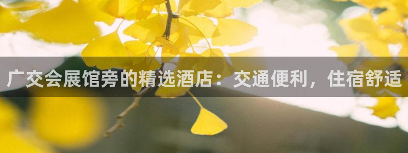 果博是怎么登录的：广交会展馆旁的精选酒店：交通便利，住宿舒适