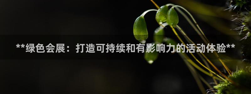 果博平台真实吗安全吗可靠吗：**绿色会展：打造可持续和有影响力的活动体验**
