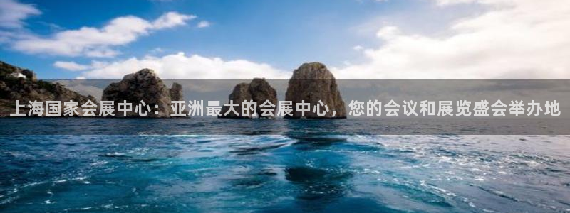 果博集团：上海国家会展中心：亚洲最大的会展中心，您的会议和展览盛会举办地