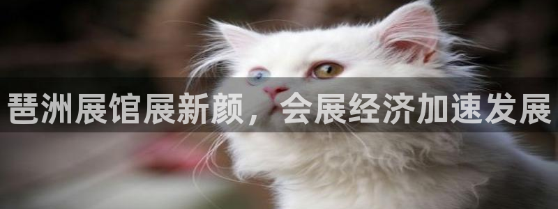 果博公司客服电话：琶洲展馆展新颜，会展经济加速发展