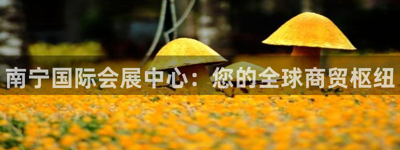 果博官网客服电话号码：南宁国际会展中心：