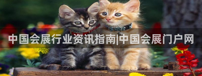 果博公司游戏网址：中国会展行业资讯指南|中国会展门户网