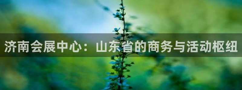 果博注册平台怎么注册：济南会展中心：山东省的商务与活动枢纽