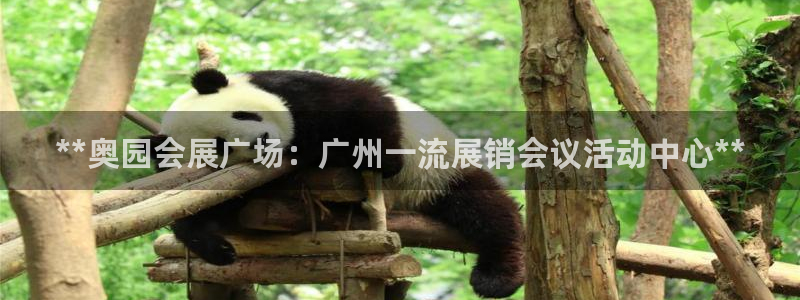 果博注册平台：**奥园会展广场：广州一流展销会议活动中心**