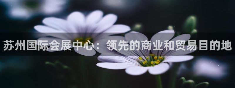 苹果电脑怎么下载伯索：苏州国际会展中心：领先的商业和贸易目的地