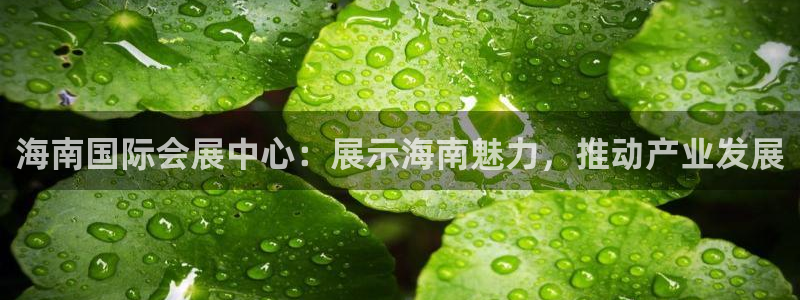 果博官网客服电话号码查询：海南国际会展中心：展示海南魅力，推动产业发展