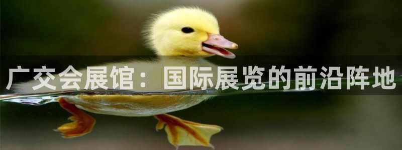 果博网站二维码