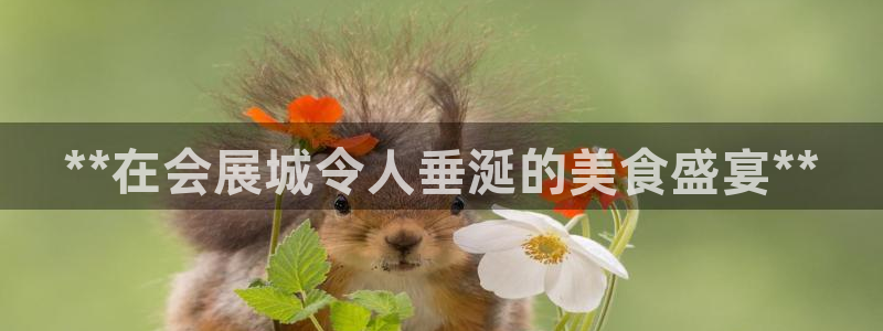 果博公司客服：**在会展城令人垂涎的美食盛宴**