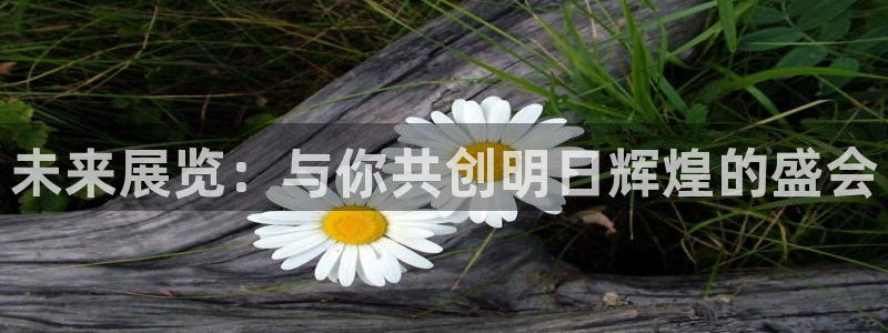 果博注册：未来展览：与你共创明日辉煌的盛会