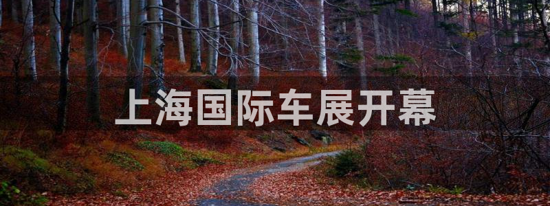 果博东手机版下载开户：上海国际车展开幕