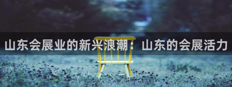 果博公司客服微信号是多少：山东会展业的新兴浪潮：山东的会展活力