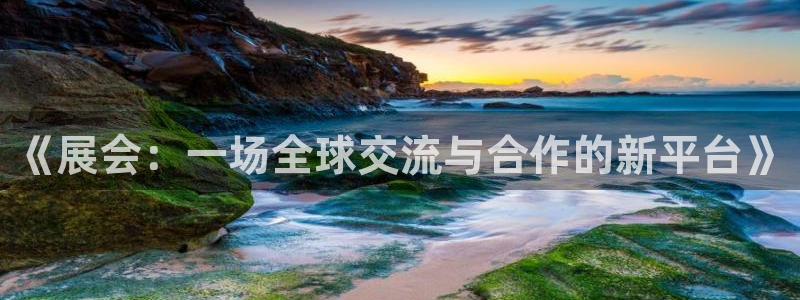 果博官网首页：《展会：一场全球交流与合作的新平台》