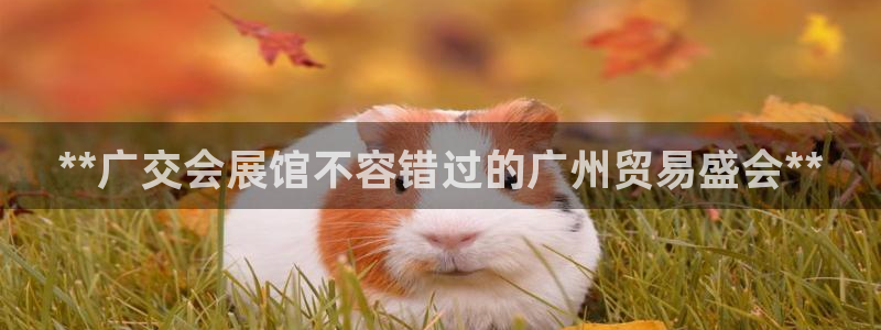 果博公司客服联系方式：**广交会展馆不容错过的广州贸易盛会**