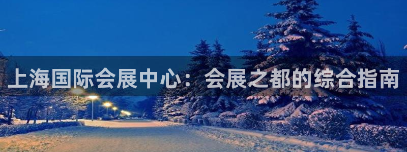 果博代理网：上海国际会展中心：会展之都的综合指南