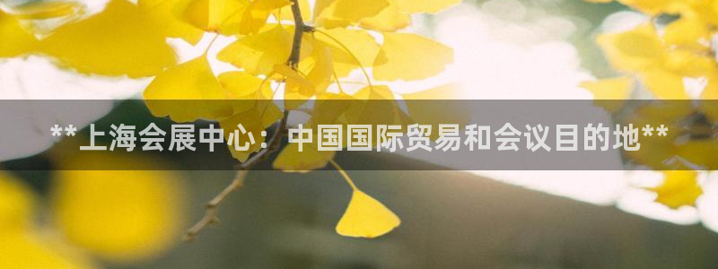 果博平台真实吗安全吗：**上海会展中心：中国国际贸易和会议目的地**