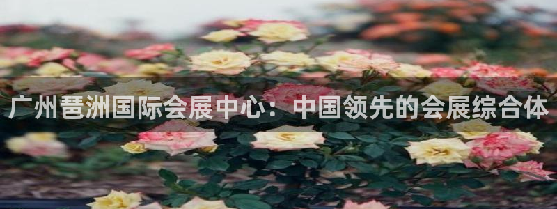 果博注册平台怎么注册账号：广州琶洲国际会展中心：中国领先的会展综合体