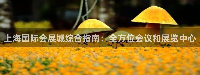 果博注册客服电话号码是多少：上海国际会展城综合指南：全方位会议和展览中心