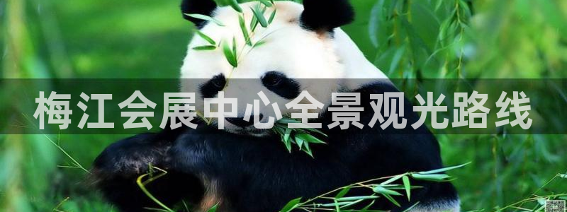 果博官网电话：梅江会展中心全景观光路线