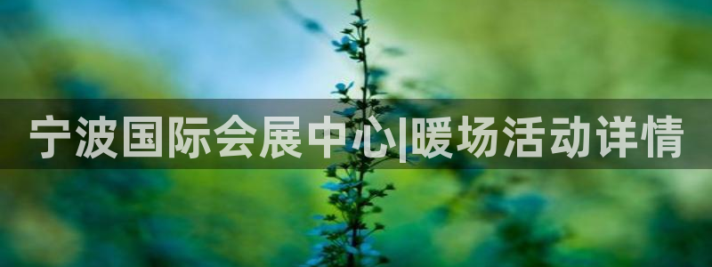 果博平台真实吗安全吗可信吗是真的吗：宁波国际会展中心|暖场活动详情