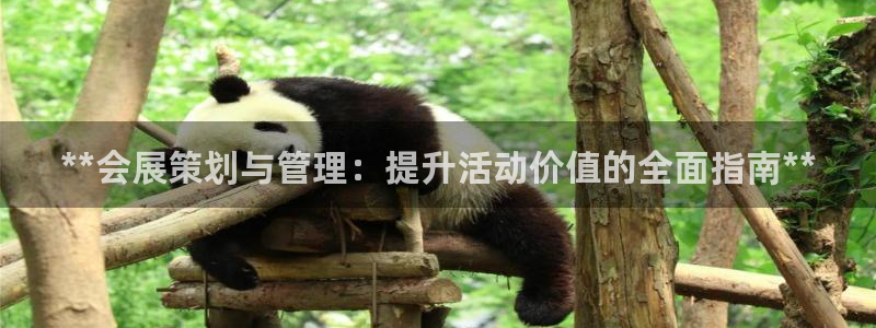 果博gbe168：**会展策划与管理：提升活动价值的全面指南**