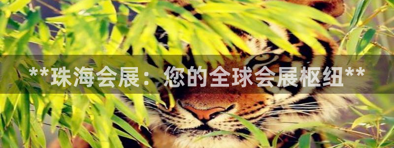 果博注册充值怎么充：**珠海会展：您的全球会展枢纽**