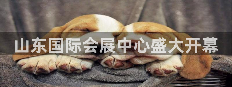 果博客服微信是多少：山东国际会展中心盛大开幕