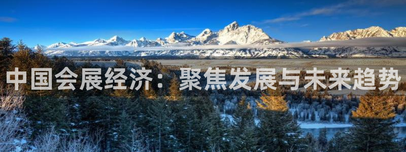 果博官方：中国会展经济：聚焦发展与未来趋势