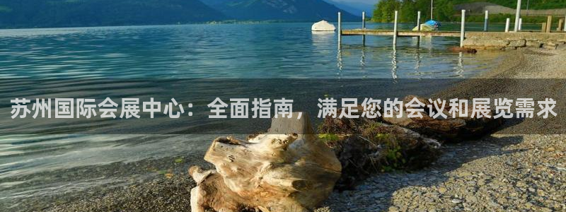果博平台真实吗安全吗可靠吗：苏州国际会展中心：全面指南，满足您的会议和展览需求