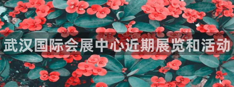 果博平台开户电话是多少：武汉国际会展中心近期展览和活动
