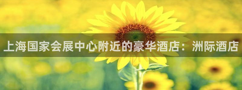 果博平台开户电话查询：上海国家会展中心附近的豪华酒店：洲际酒店