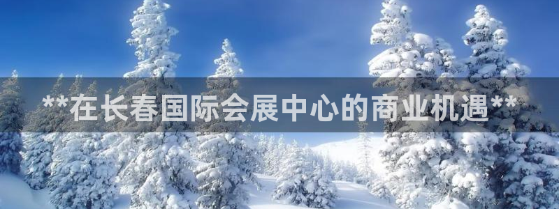 果博平台开户电话号码：**在长春国际会展中心的商业机遇**