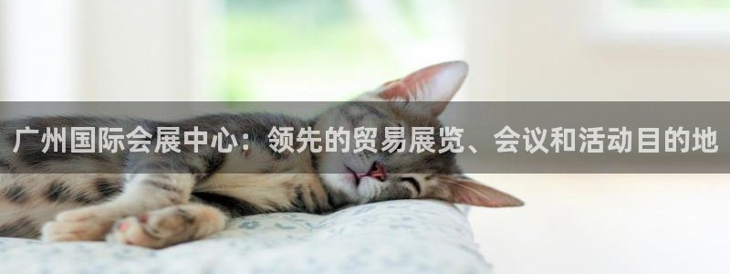 果博注册链接：广州国际会展中心：领先的贸易展览、会议和活动目的地
