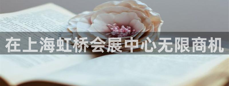 果搏代理：在上海虹桥会展中心无限商机