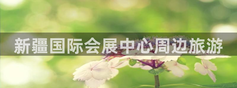 果博平台真实吗：新疆国际会展中心周边旅游