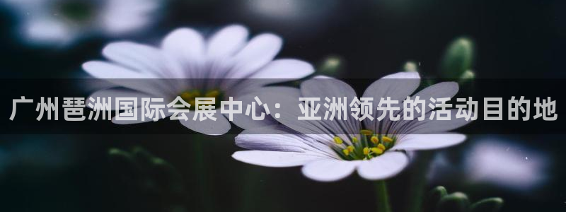 果博公司怎么开户：广州琶洲国际会展中心：亚洲领先的活动目的地