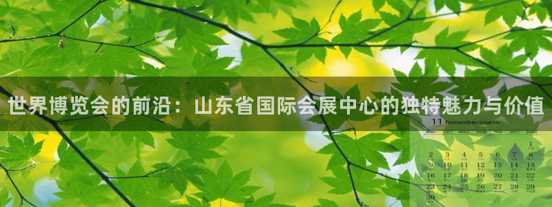 果博客服电话多少：世界博览会的前沿：山东省国际会展中心的独特魅力与价值