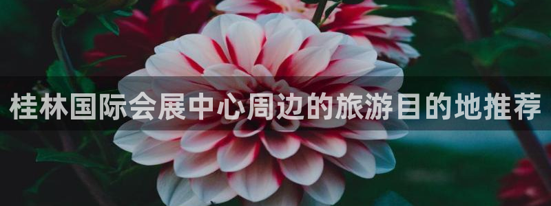 果博公司网站：桂林国际会展中心周边的旅游目的地推荐
