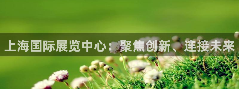 下载果博app：上海国际展览中心：聚焦创