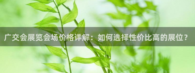 果博注册平台怎么注册的：广交会展览会场价格详解：如何选择性价比高的展位？
