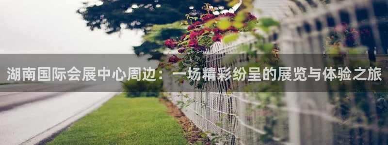果博平台真实吗安全吗可信吗：湖南国际会展中心周边：一场精彩纷呈的展览与体验之旅