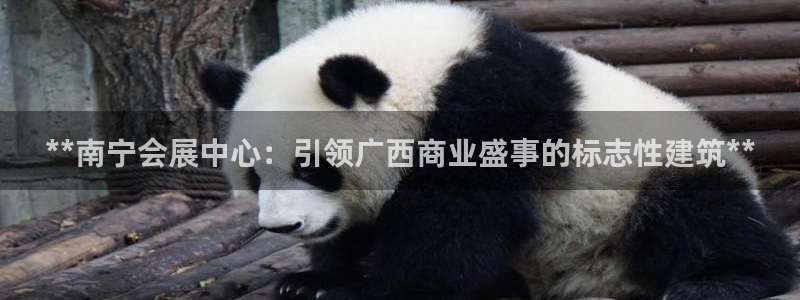 果博环保公司：**南宁会展中心：引领广西商业盛事的标志性建筑**