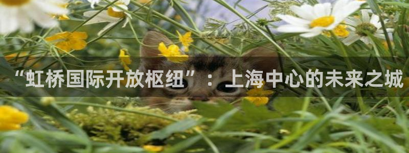 果博官网首页：“虹桥国际开放枢纽”：上海