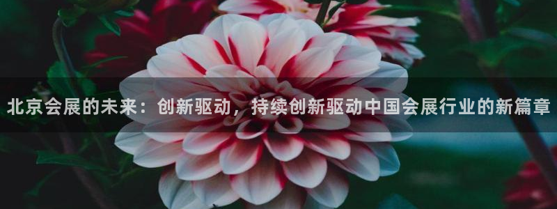 果博代理网：北京会展的未来：创新驱动，持
