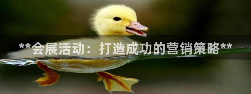 果博公司网站：**会展活动：打造成功的营
