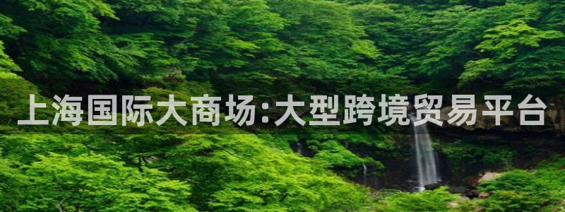 果博环保公司：上海国际大商场:大型跨境贸易平台