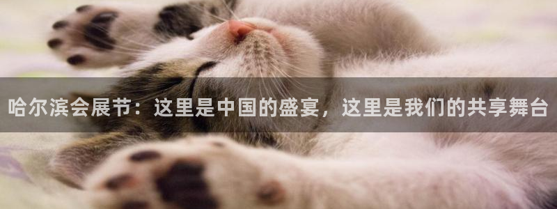 下载果博app：哈尔滨会展节：这里是中国