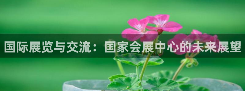 果博官方：国际展览与交流：国家会展中心的