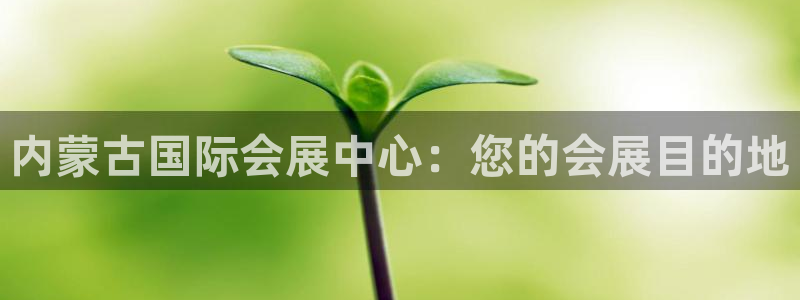 苹果电脑可以下载博易大师吗：内蒙古国际会展中心：您的会展目的地