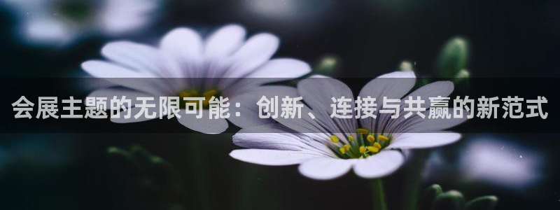 果博平台开户电话是多少：会展主题的无限可
